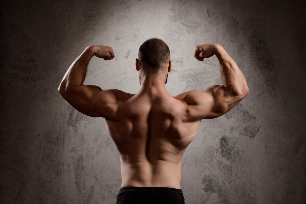 How to take creatine properly: Loading Phase vs Low Dosage